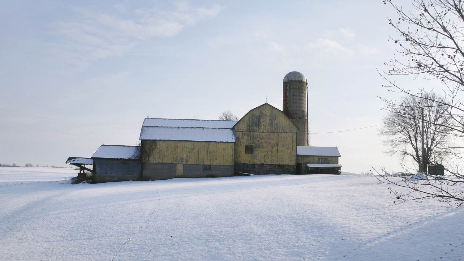 Snowfields - Janie Fitzgerald