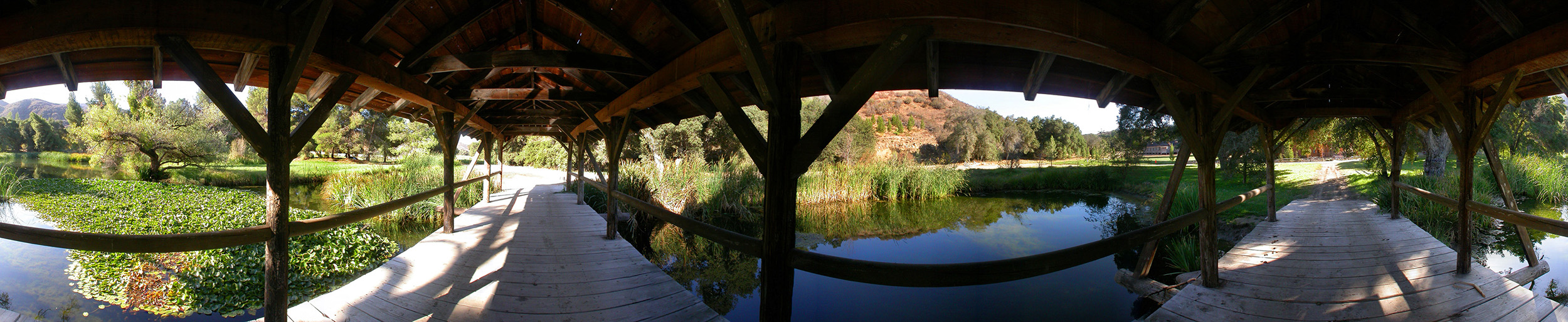 360 Photography
