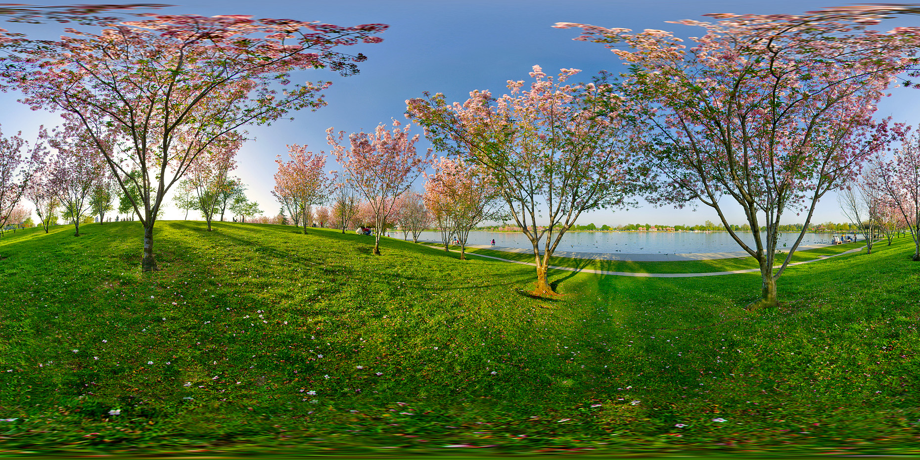 360 Photography