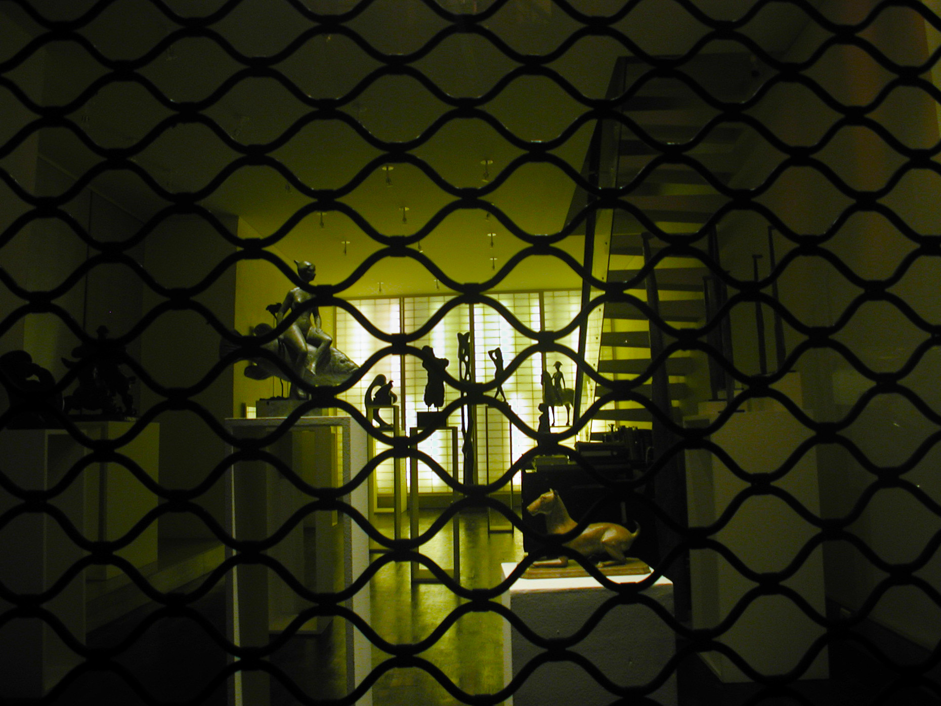 Paris Light - Janie Fitzgerald